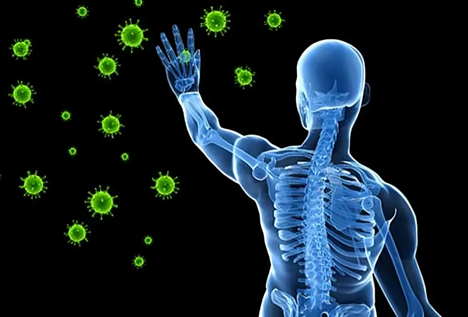 Immune System