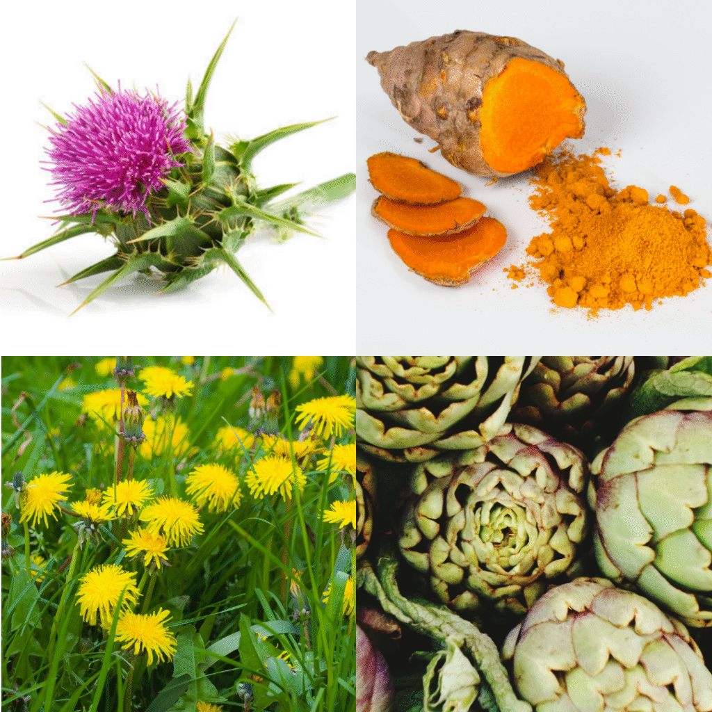 Liver Health Supplements