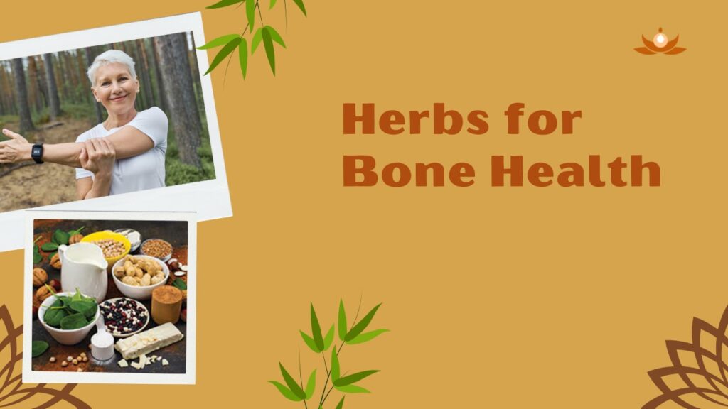 Herbs for Bone Health