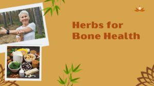 Herbs for Bone Health