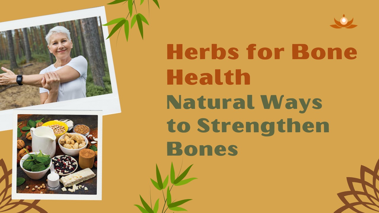 Herbs for Bone Health